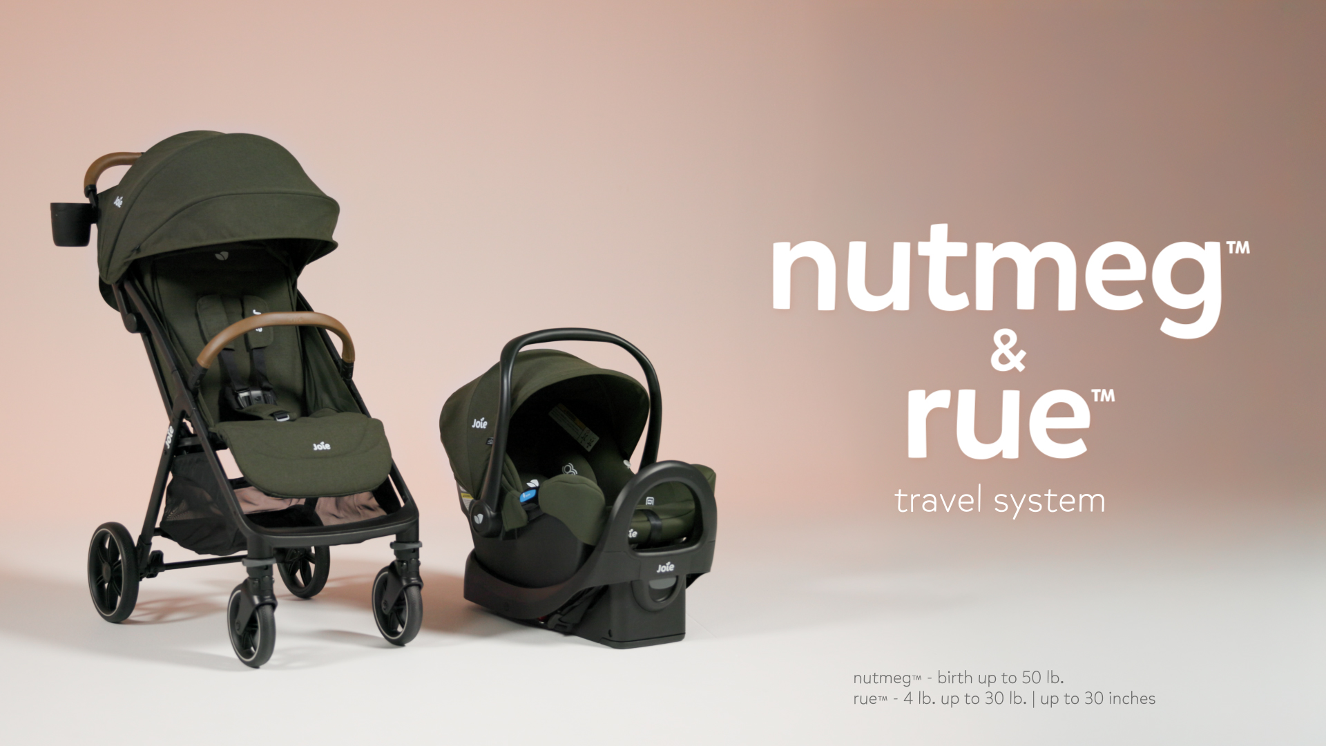 Amazon.com : Joie Baby, Nutmeg and Rue Travel System – Travel
